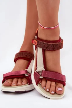 Damskie D.Franklin Sandały Damskie Na Rzepy DFSH406003 Bordowe