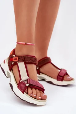 Damskie D.Franklin Sandały Damskie Na Rzepy DFSH406003 Bordowe