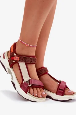 Damskie D.Franklin Sandały Damskie Na Rzepy DFSH406003 Bordowe