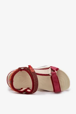 Damskie D.Franklin Sandały Damskie Na Rzepy DFSH406003 Bordowe